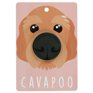 Cavapoo - Dog Lead Holder