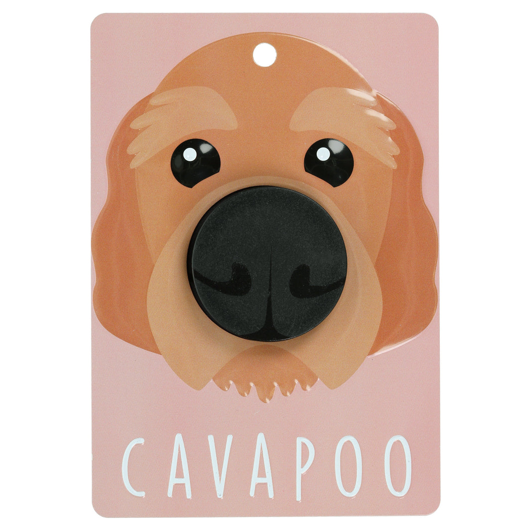 Cavapoo - Dog Lead Holder