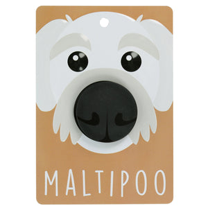 Maltipoo - Dog Lead Holder