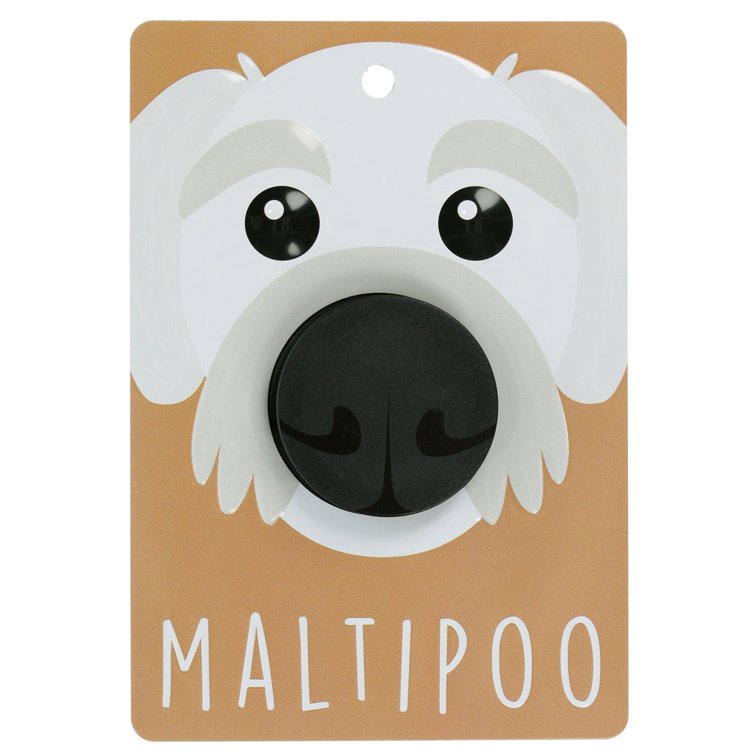 Maltipoo - Dog Lead Holder