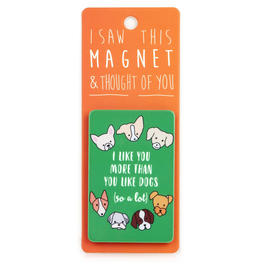 A fridge magnet saying 'More Than You Like Dogs'