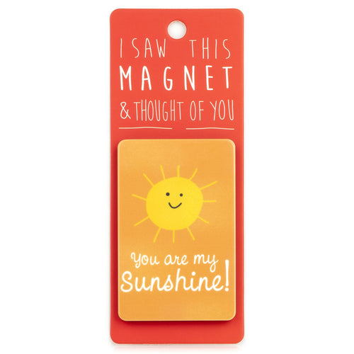 A fridge magnet saying 'You Are My Sunshine'