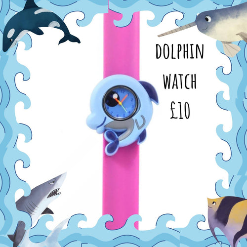 A dolphin watch