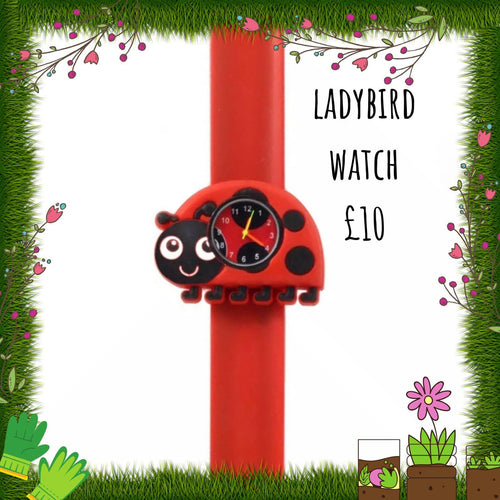 A ladybird watch